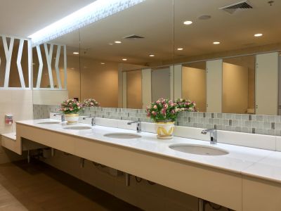 Vanity and Countertop Designs